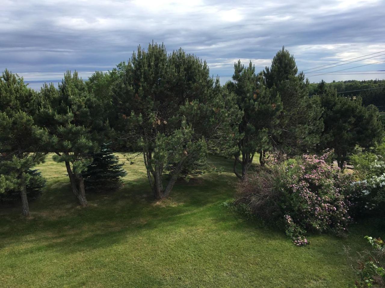 Bed and Breakfast Seaview White House Stratford Екстер'єр фото
